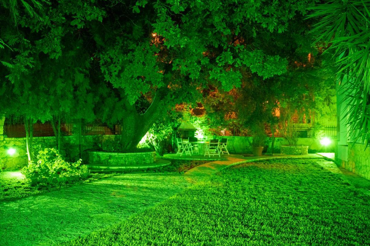 Villa Dina Syvota Exterior foto